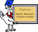 diploma_color_mbck